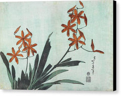 Blackberry Lily - Canvas Print