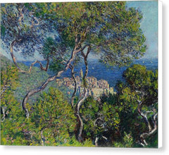Bordighera - Canvas Print