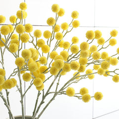 Bulk 28" Craspedia Billy Balls Flowers Branches Boho Floral Wholesale