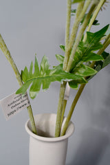 Bulk AM Basics 23" Faux Kiku Flowers Artificial Dandelion Flowers Plants