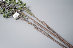 Bulk AM Basics Artificial Eucalyptus Fruits Branch 29" Wholesale