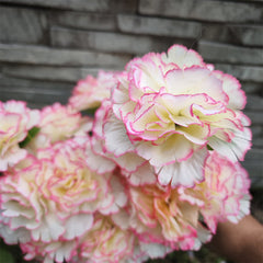Bulk Christianity Cemetery Flowers Carnations in Vase Flowers for Cemetery Wholesale