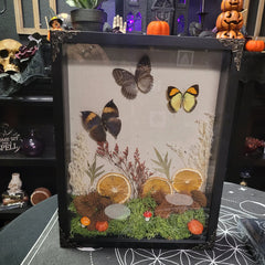 Butterfly & Flowers Shadow Box