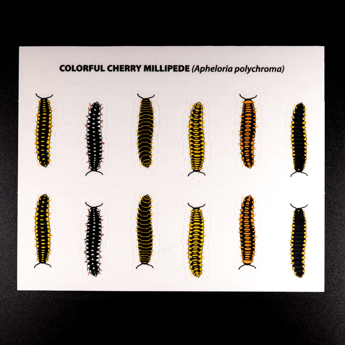 Cherry Millipede Sticker Sheet by The Roving House