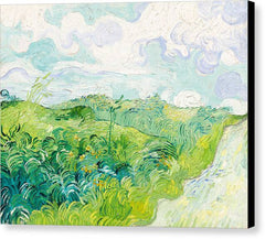 Green Wheat Fields, Auvers - Canvas Print