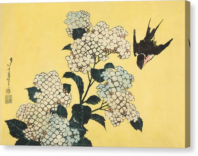 Hydrangea and Swallow - Canvas Print