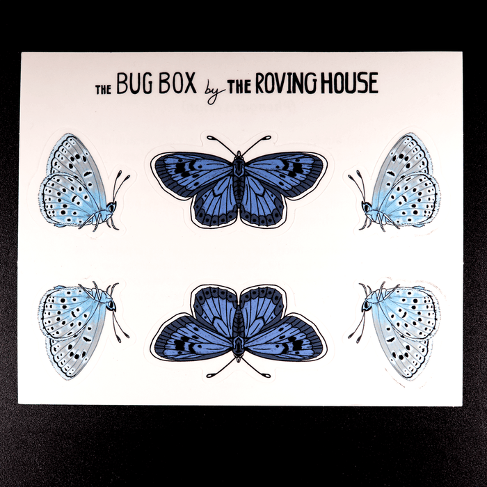 Large Blue Butterfly Sticker Sheet by The Roving House