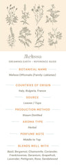 Melissa - 5% Essential Oil - Dreaming Earth Inc