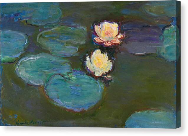 Nympheas - Canvas Print