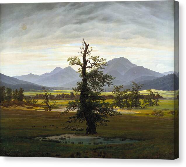 The Lone Tree - Canvas Print