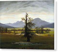 The Lone Tree - Canvas Print