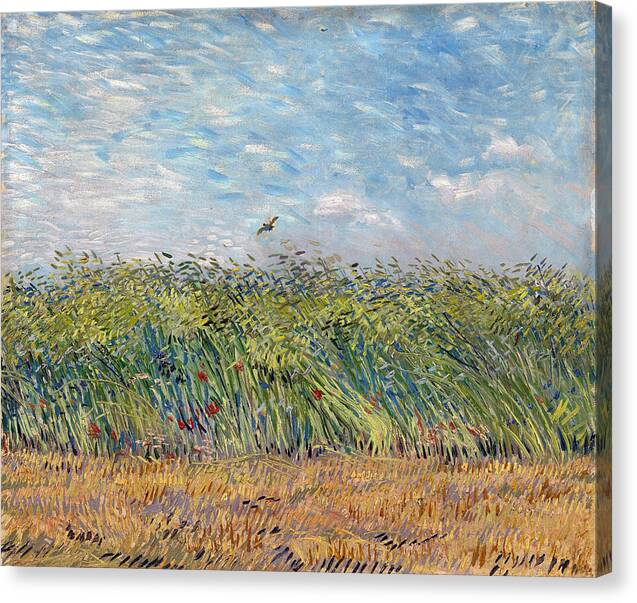 Wheat Field with a Lark - Canvas Print