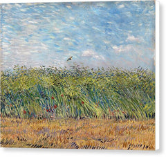 Wheat Field with a Lark - Canvas Print