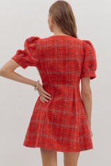Camille Plaid Mini Dress