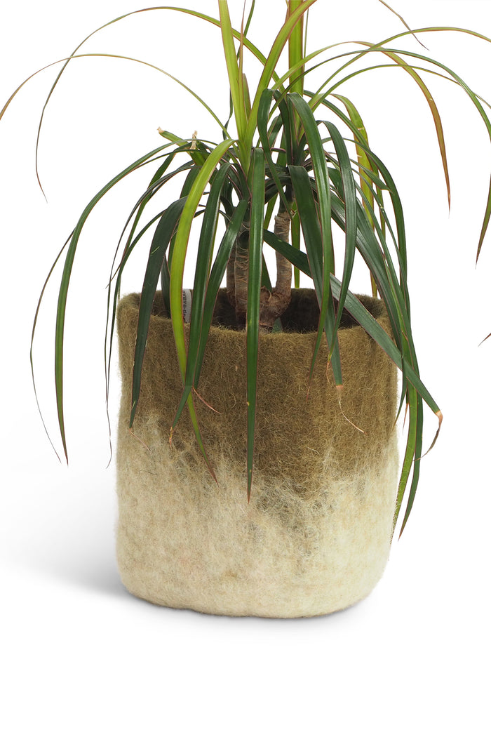Aveva Felt Flower Pot/Basket 18 Small Olive