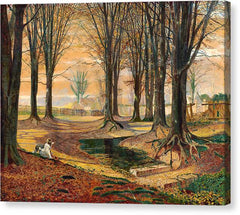 Beechwood - Canvas Print