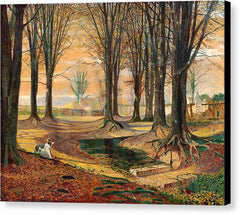Beechwood - Canvas Print