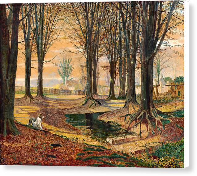 Beechwood - Canvas Print