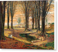 Beechwood - Canvas Print