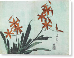 Blackberry Lily - Canvas Print