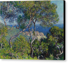 Bordighera - Canvas Print