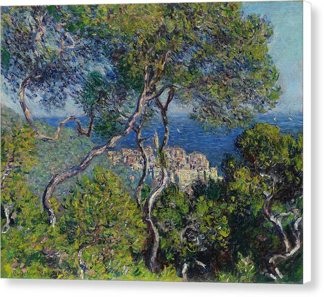 Bordighera - Canvas Print