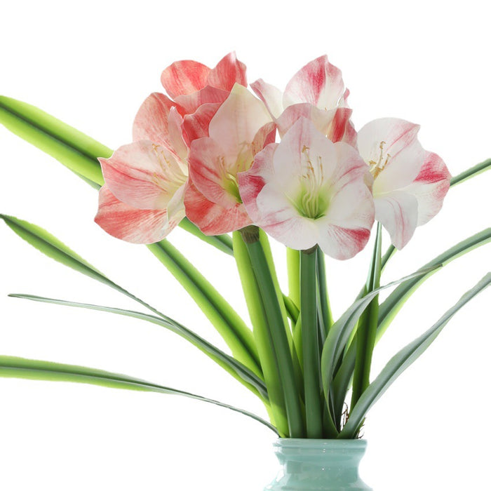 Bulk 24" Clivia Miniata Lily Stems Real Touch Artificial Flowers Wholesale