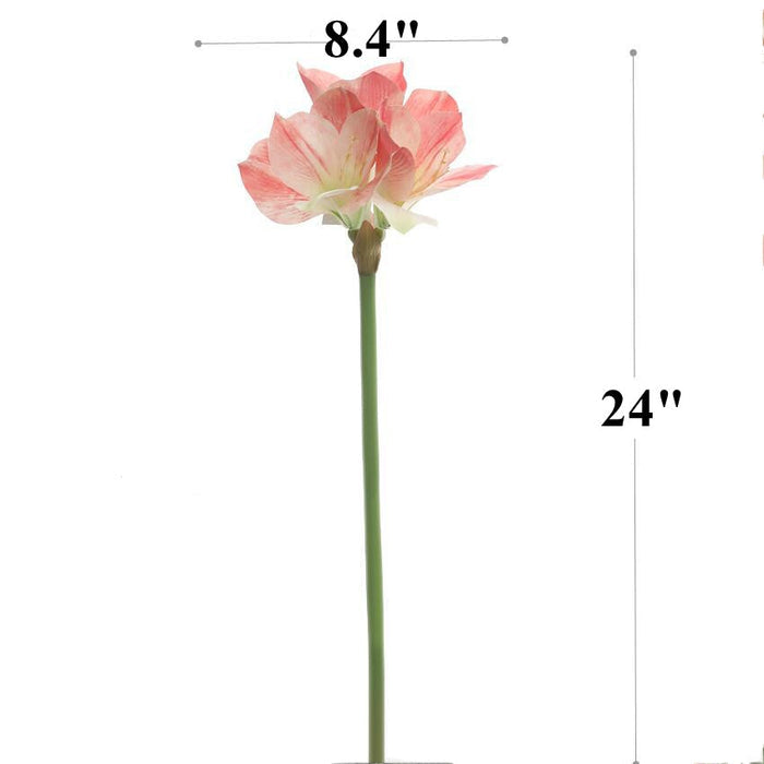 Bulk 24" Clivia Miniata Lily Stems Real Touch Artificial Flowers Wholesale