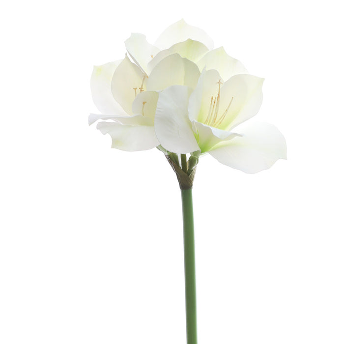 Bulk 24" Clivia Miniata Lily Stems Real Touch Artificial Flowers Wholesale