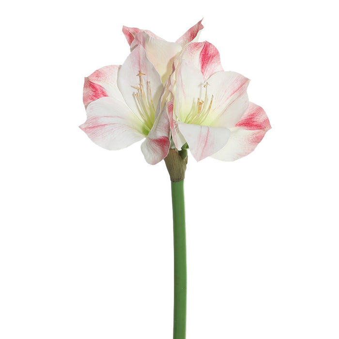 White/Pink