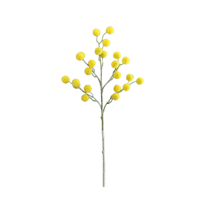 Bulk 28" Craspedia Billy Balls Flowers Branches Boho Floral Wholesale