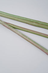 Bulk 39“ AM Basics Artificial Bird of Paradise Flowers Wholesale