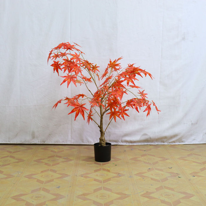 Orange Red / 3 ft
