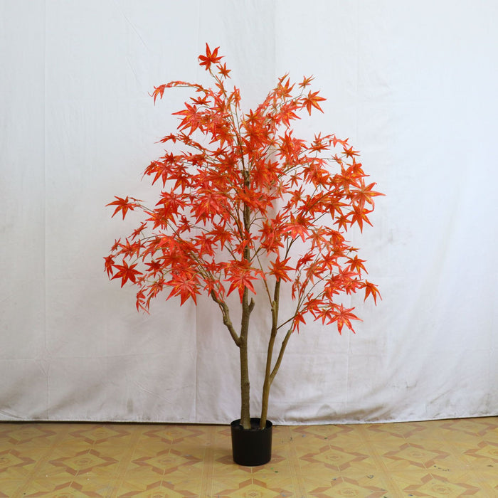 Orange Red / 5 ft