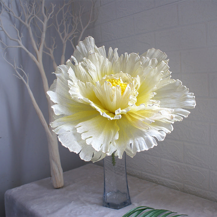 11.8" / White