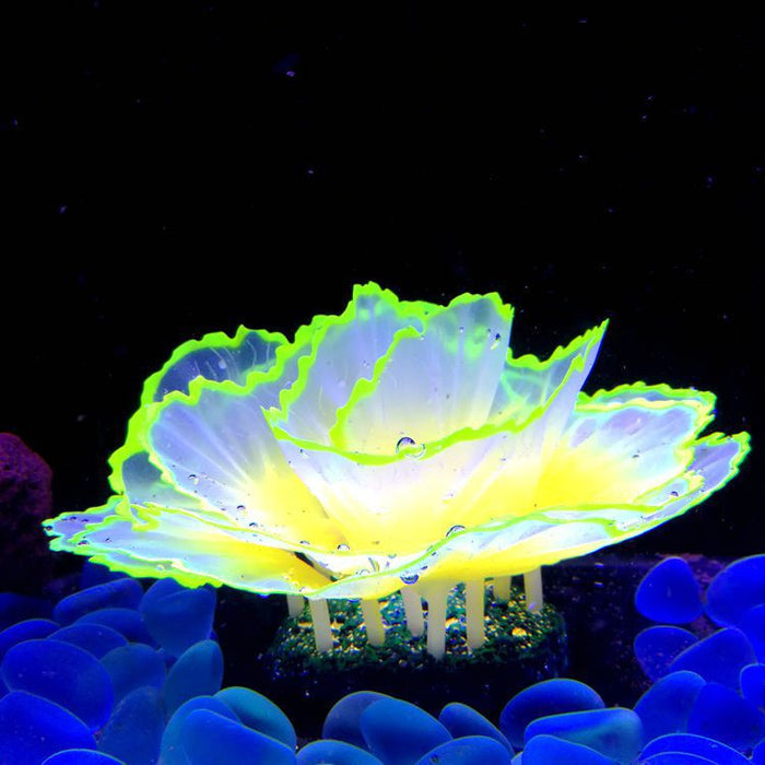 Bulk Glowing Effect Plants Aquarium Lettuce Coral Glow Plants for Fish Tank Wholesale