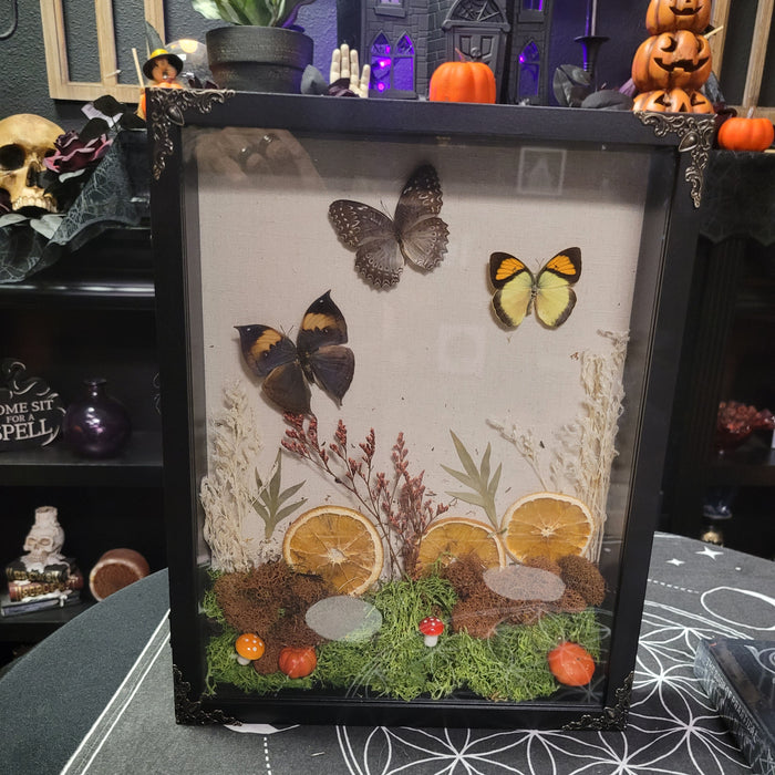 Butterfly & Flowers  Shadow Box
