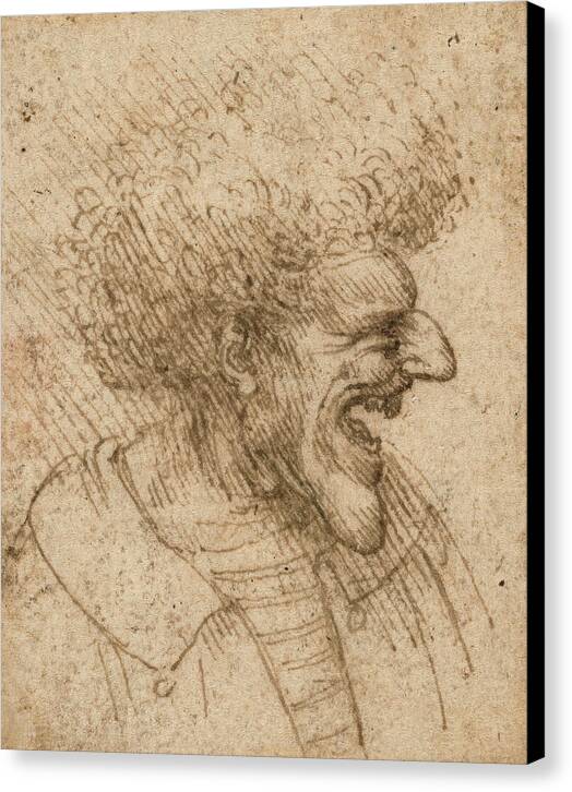 Caricature of a Man with Bushy Hair - Canvas Print