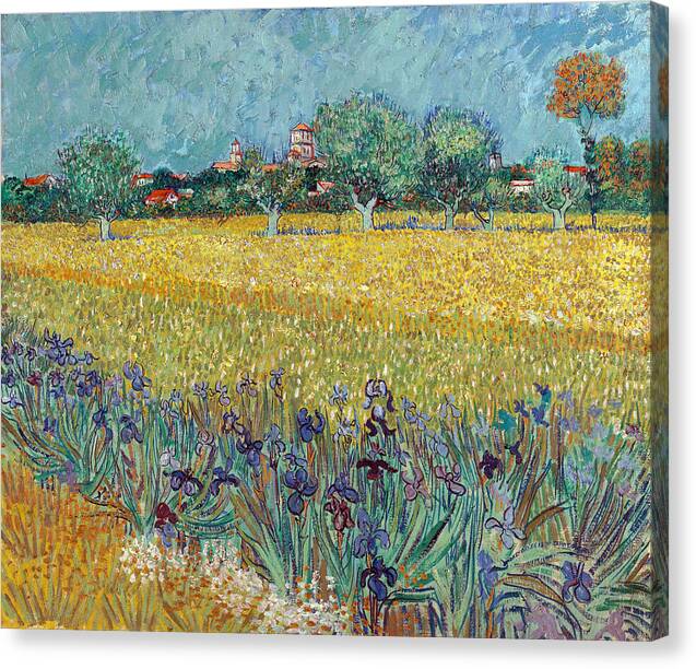 Field with Irises near Arles - Canvas Print
