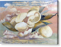 Flight of the Magnolia - Canvas Print