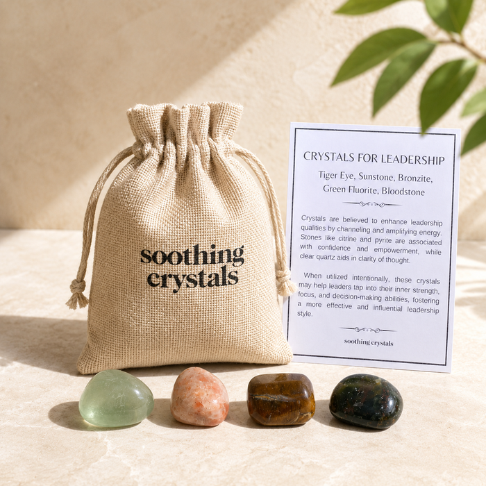 Inspire LEADERSHIP Crystal Kit, Gemstone Tumble Kit, Leadership Crystal Gift Set