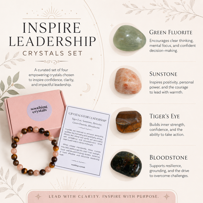 Inspire LEADERSHIP Crystal Kit, Gemstone Tumble Kit, Leadership Crystal Gift Set