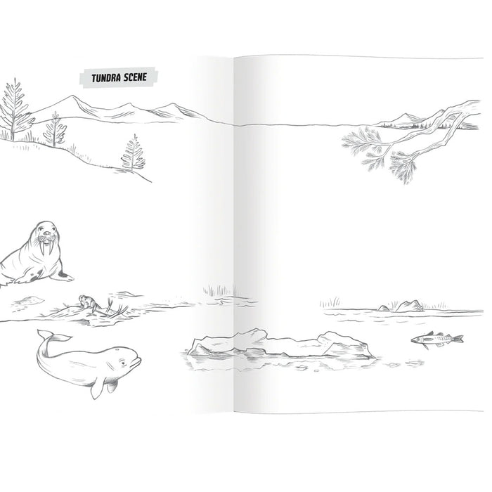 Learn to Draw Wild Animals