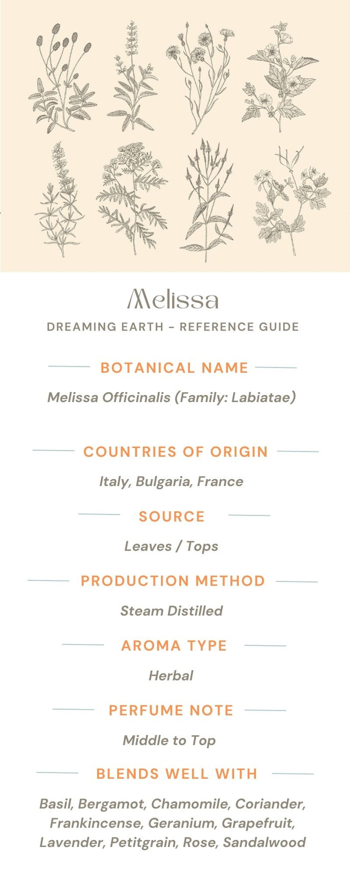 Melissa - 5% Essential Oil - Dreaming Earth Inc