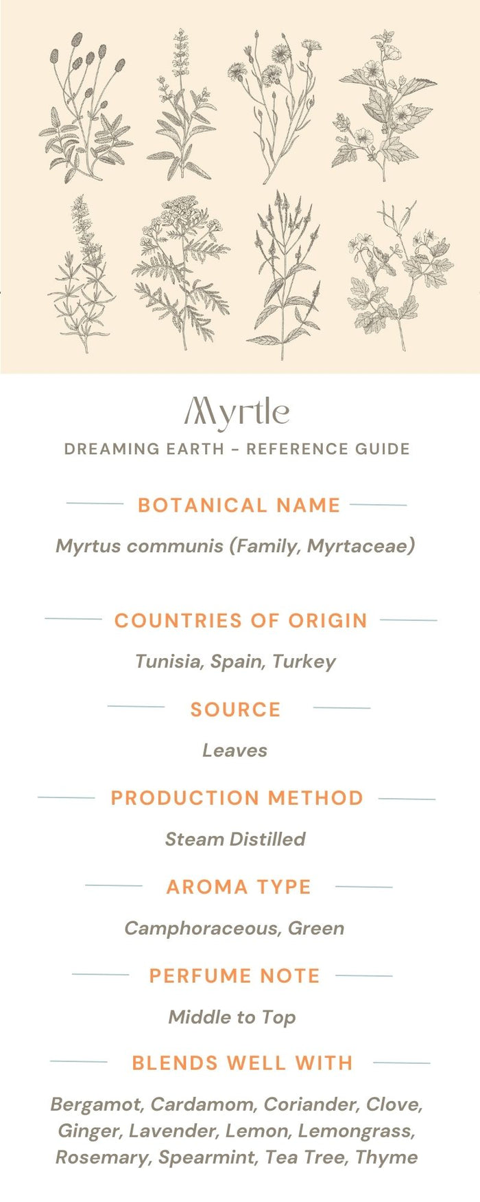 Myrtle Essential Oil