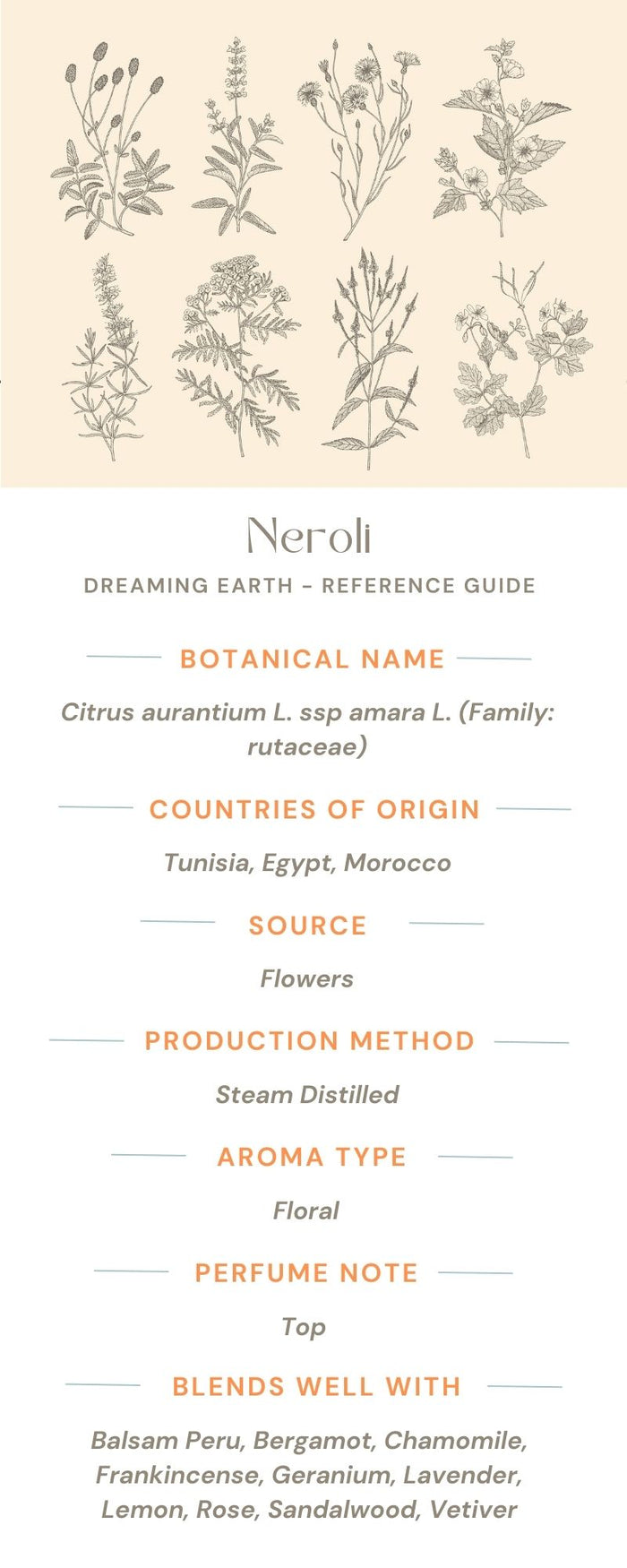 Neroli - 5% Essential Oil - Dreaming Earth Inc