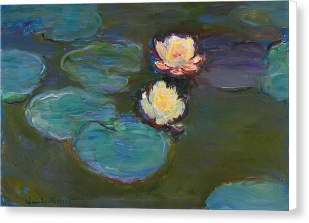 Nympheas - Canvas Print