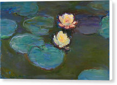 Nympheas - Canvas Print