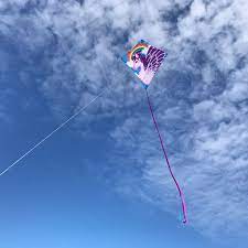 PEGASUS 30" DIAMOND KITE