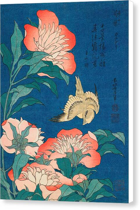 Peonies and Canary - Canvas Print